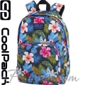 Cool Pack Basic Plus Ученическа раница China Rose C06264 Cool Pack Basic Plus Ученическа раница China Rose C06264
